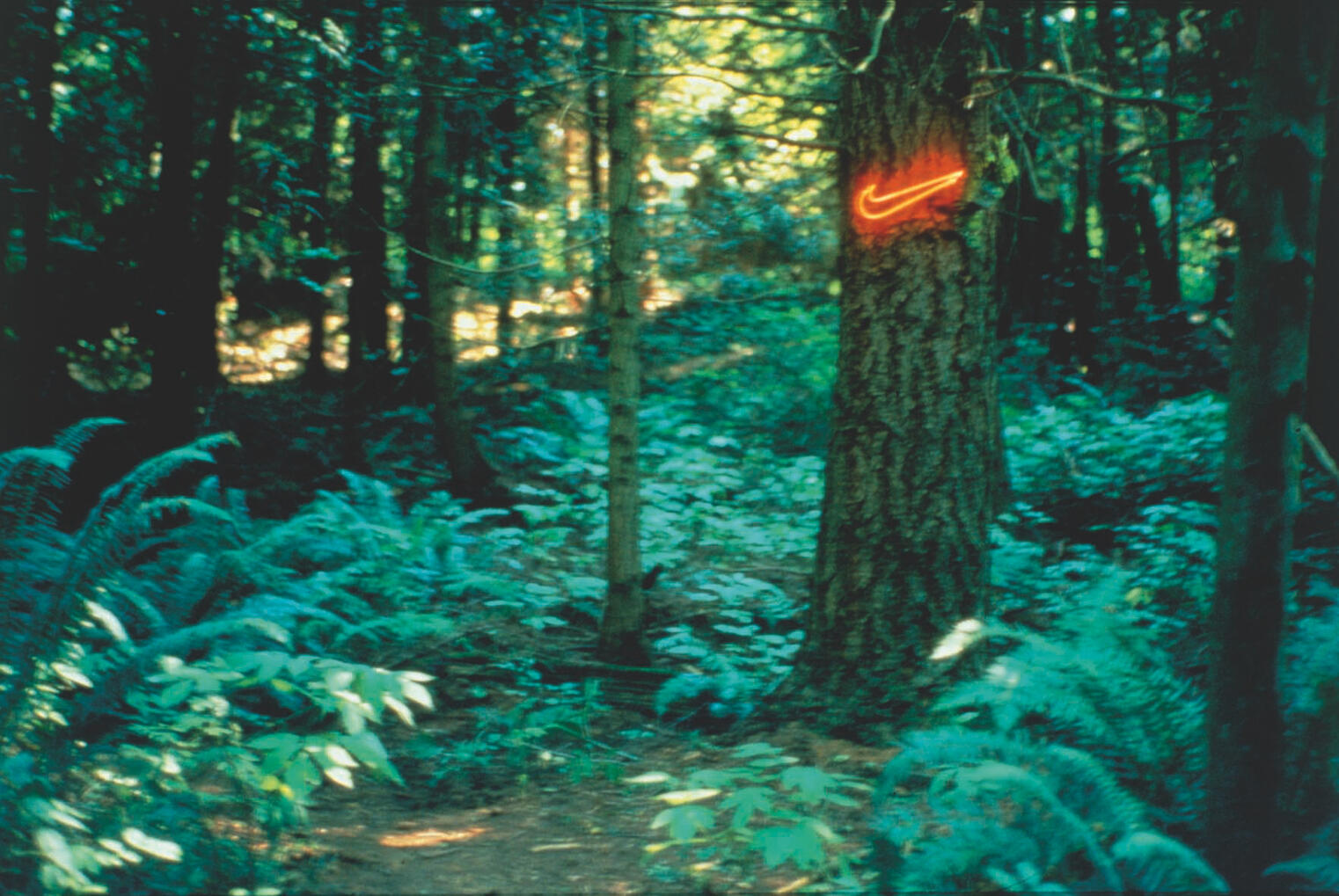 First shown in Pilchuck, nr Seattle, USA. Natural Dependency, Jerwood Gallery, London 1999. Collection of Frank Cohen, UK.