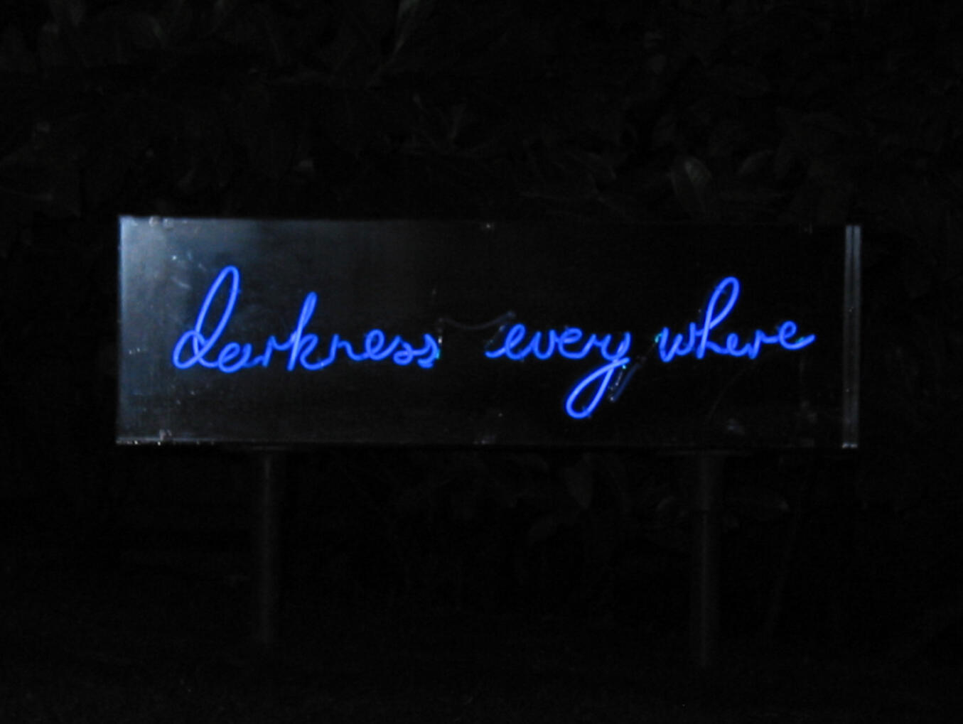 Neon , Collection of Frank Cohen, England.